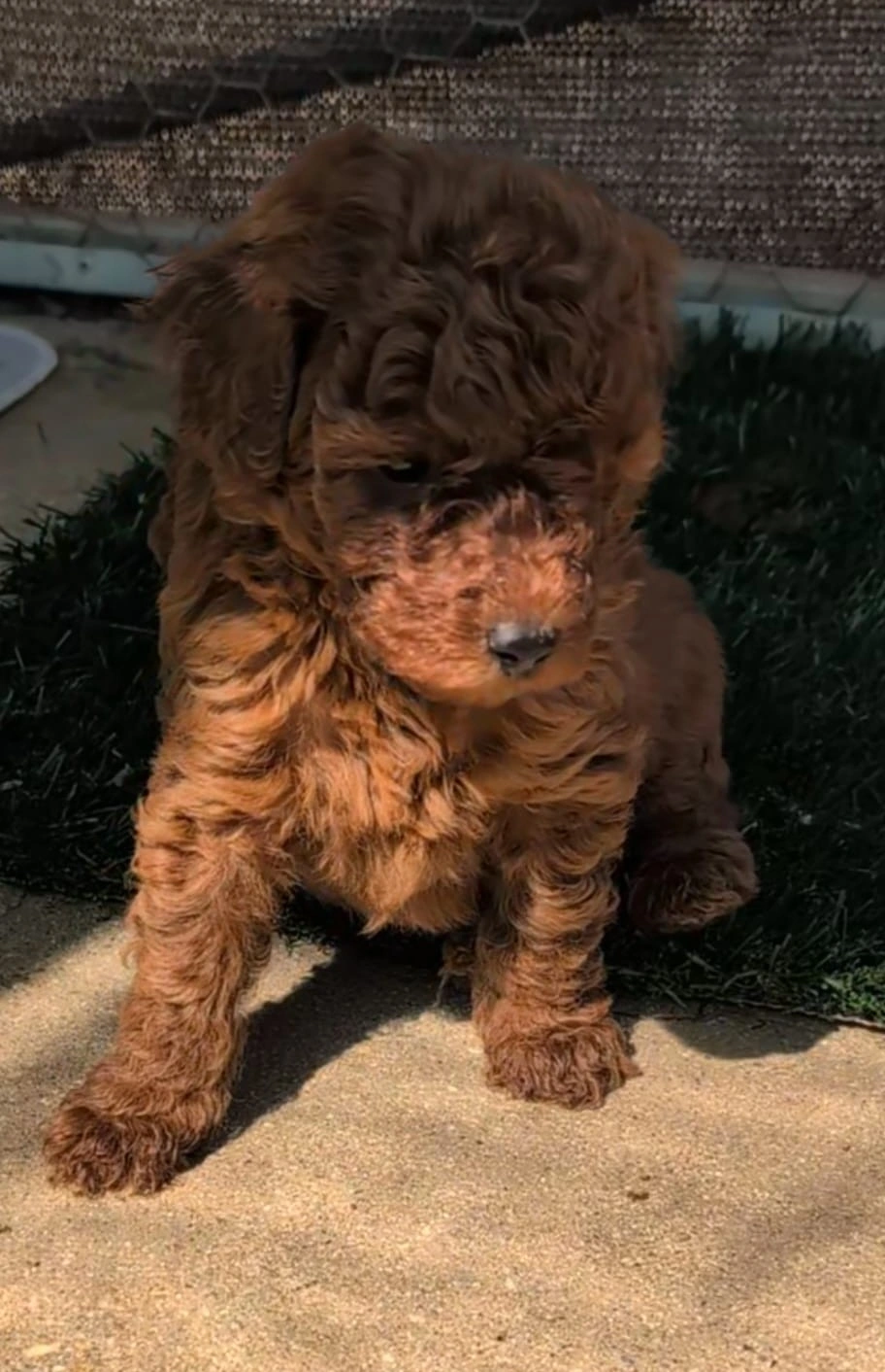 5 weeks - March 26 -1.jpeg