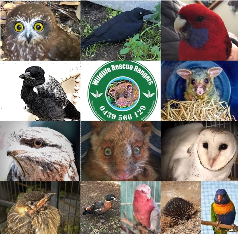 Lets make a positive impact together