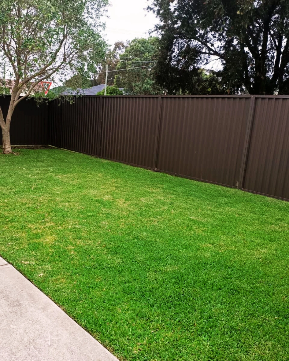 Untitled design (9).png