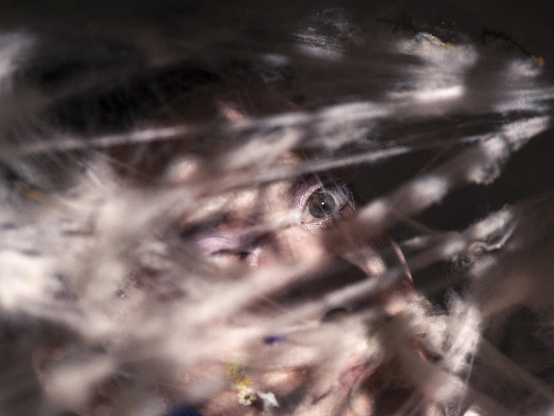 P1002180Style 3-compressed.jpg