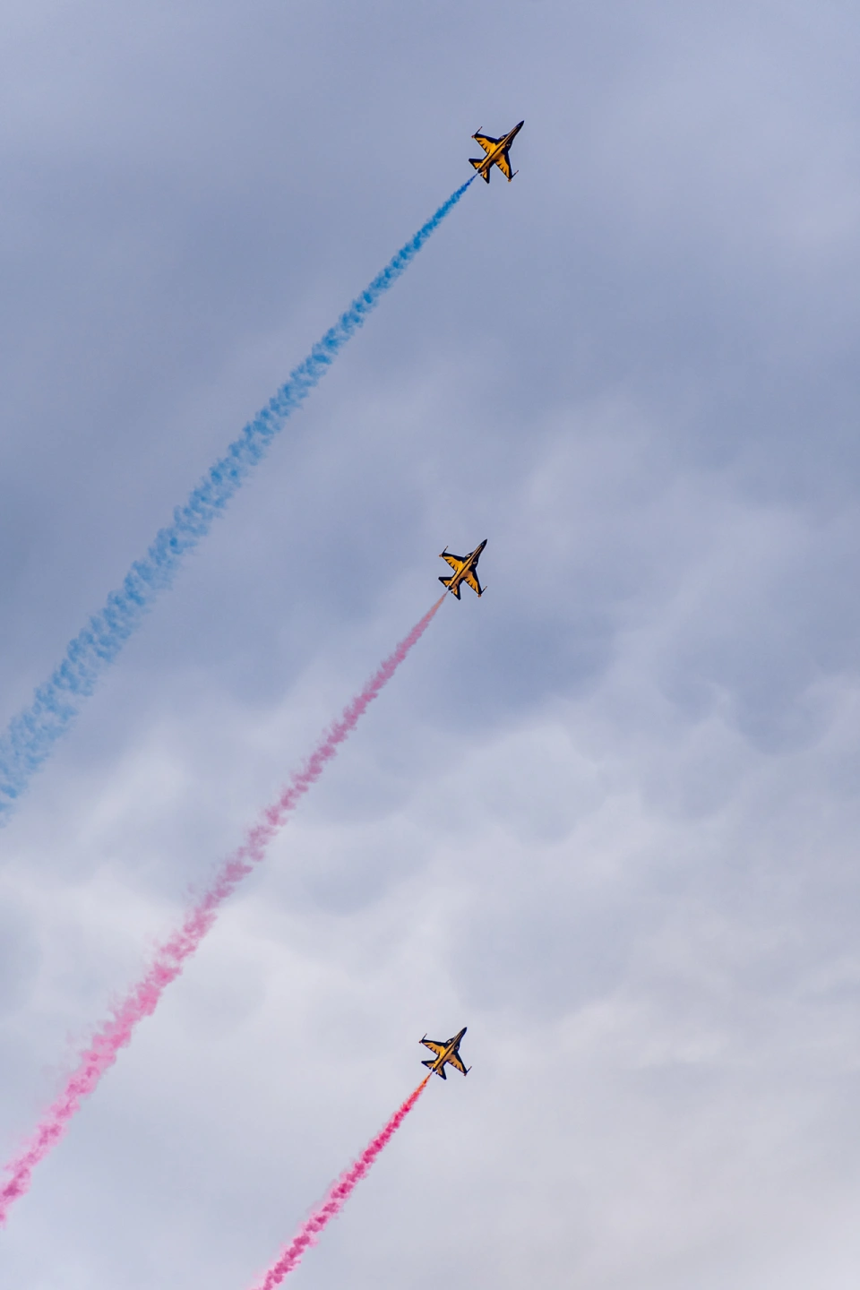 DSC_4794.jpg