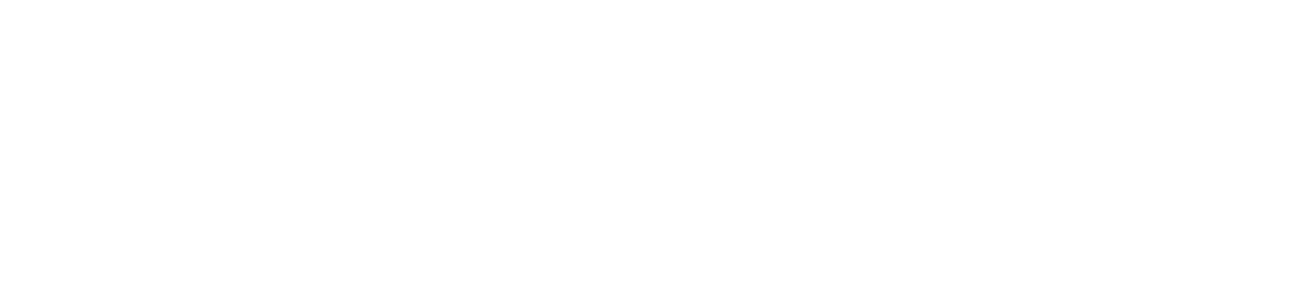 ALIE-N Life Assessment™