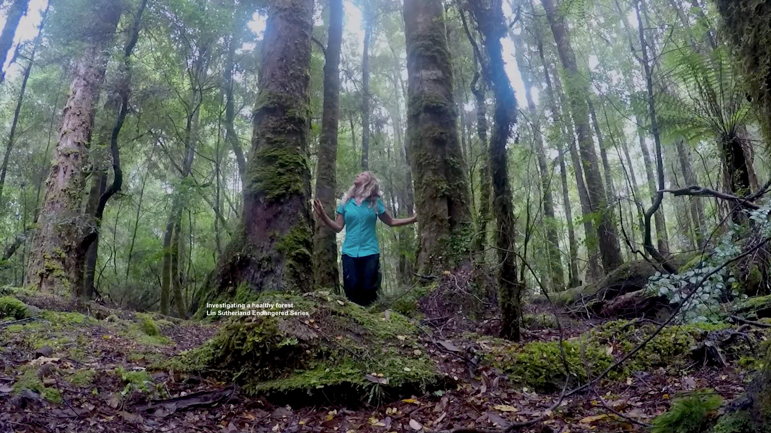 Lin in Tarkine Wilderness.png