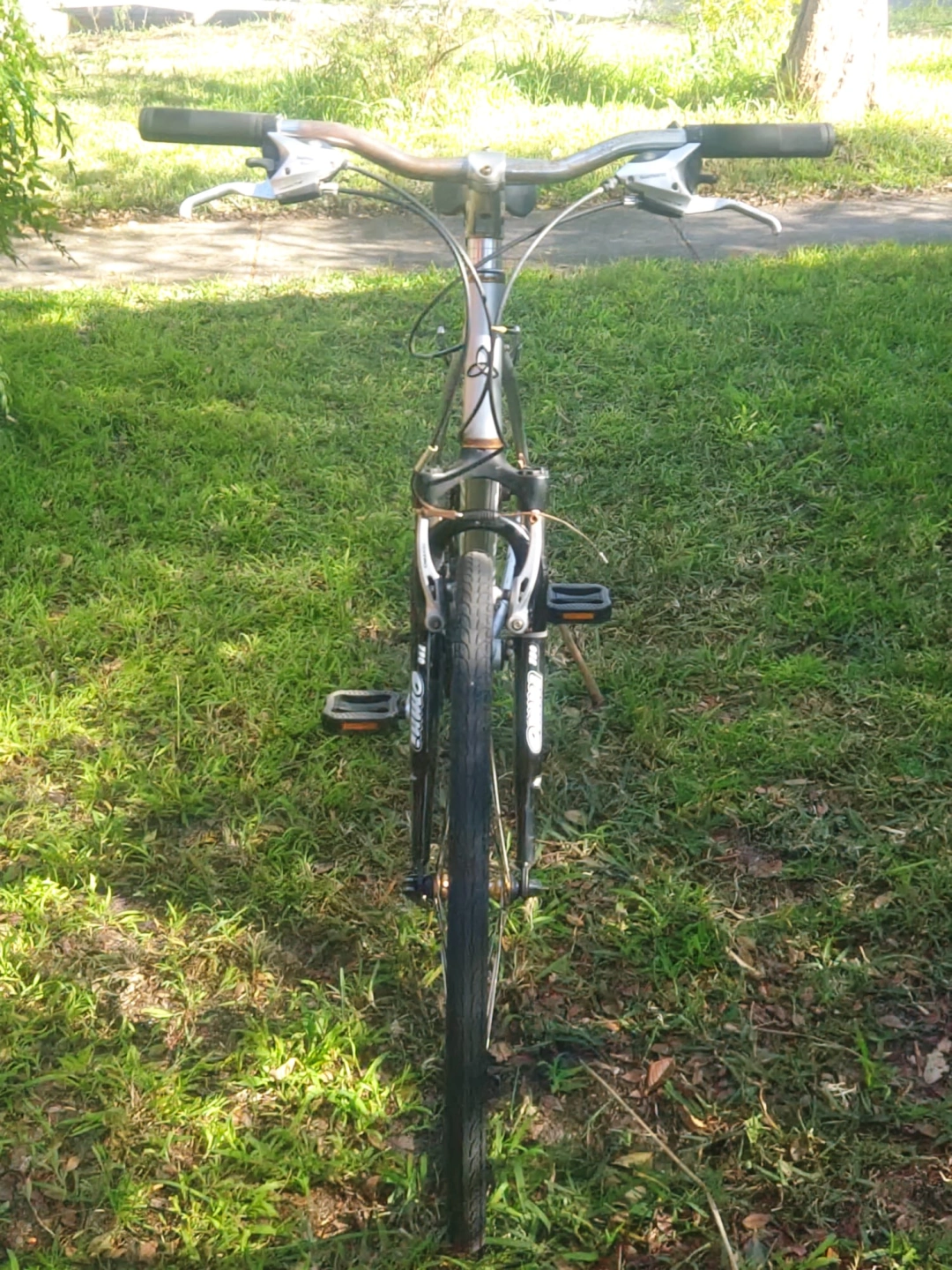 Bikeforsale4.jpeg