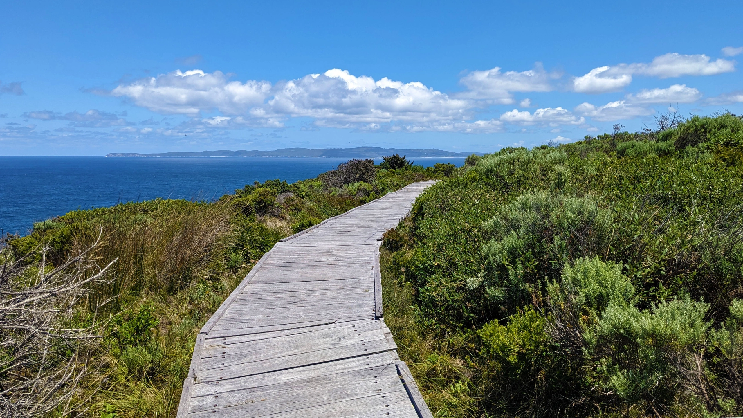 PXL_20251129_033702174 copy (1).jpg