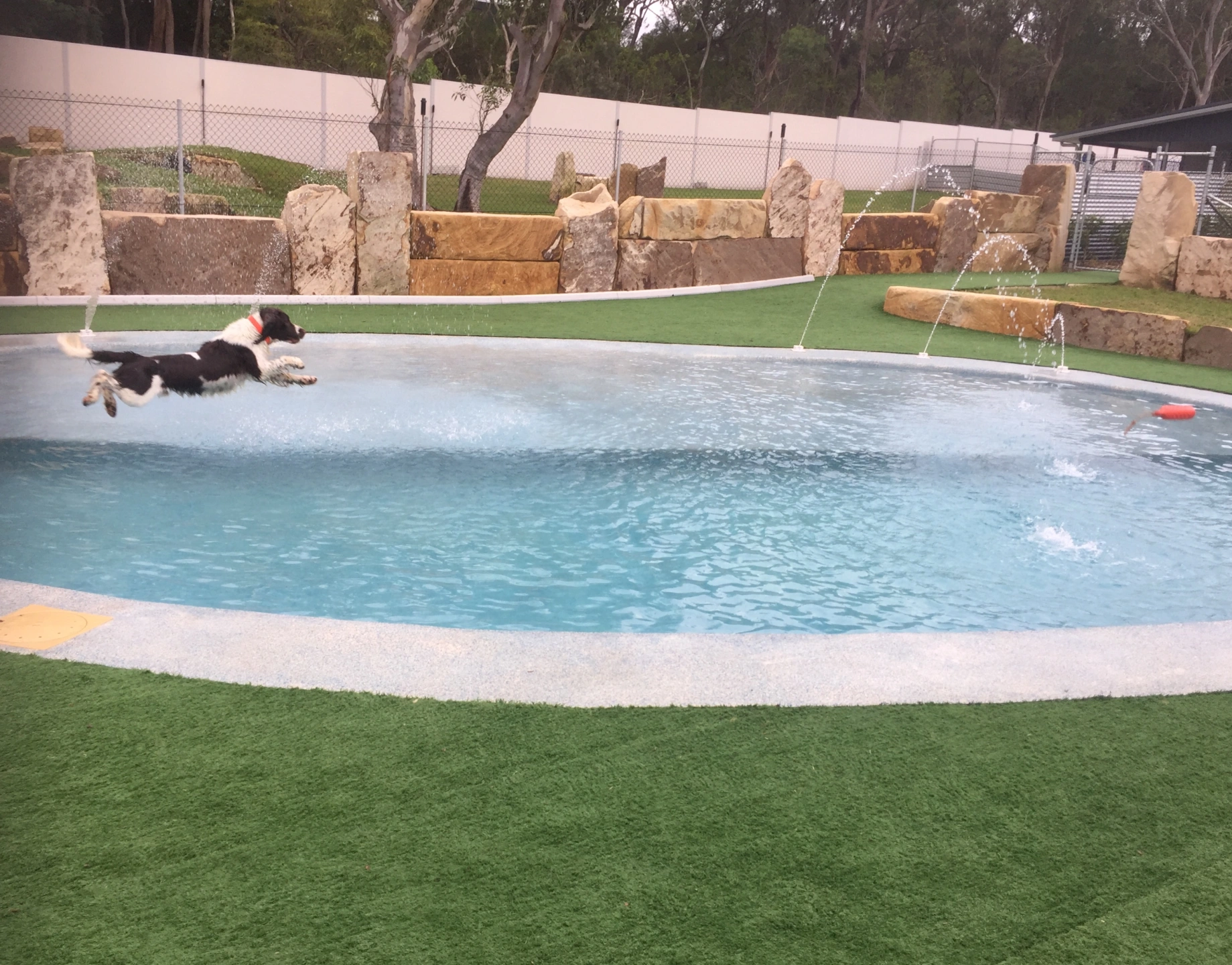 pool.jpg