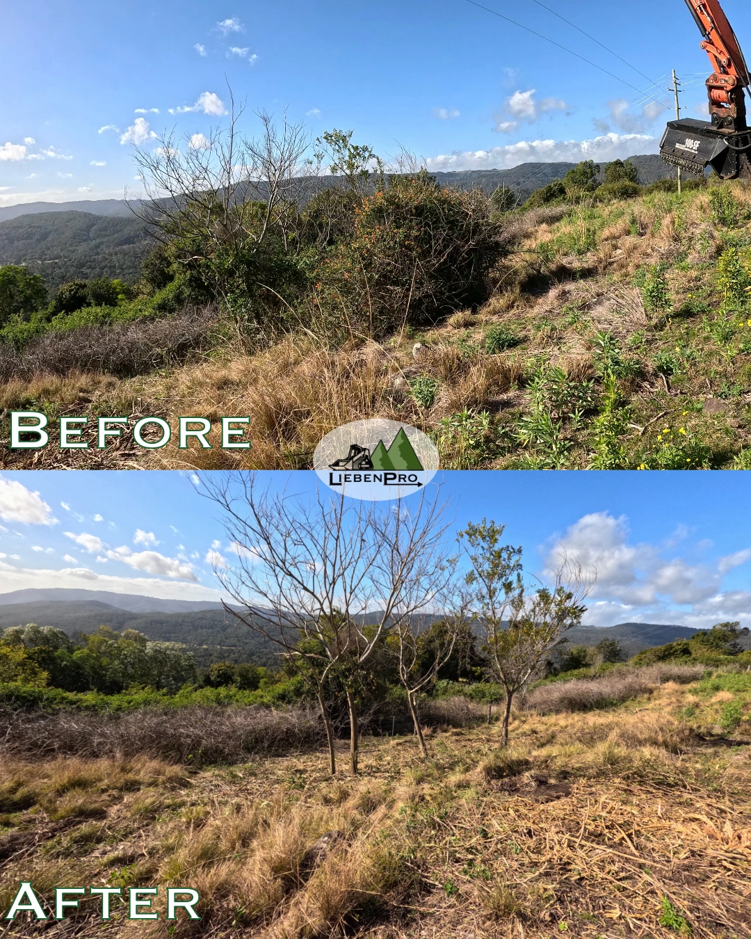 Before-After 3 - LiebenPro.JPG