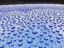 IMG_0315.jpeg