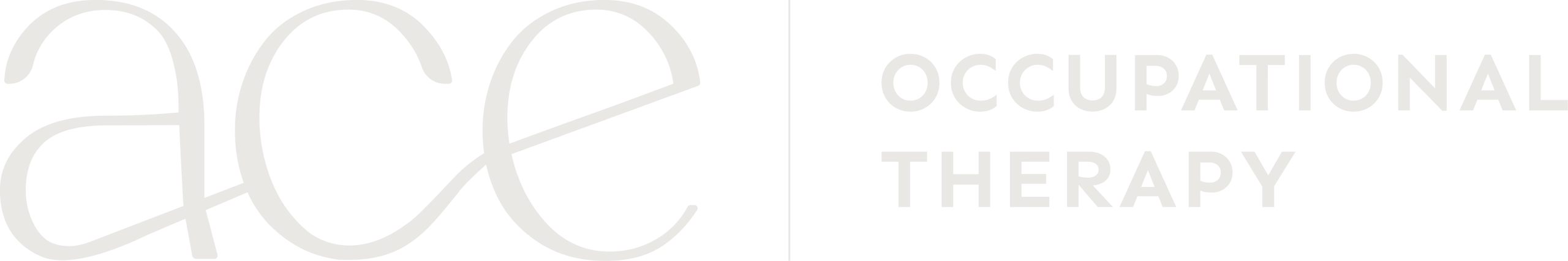 ace Occupational Therapy