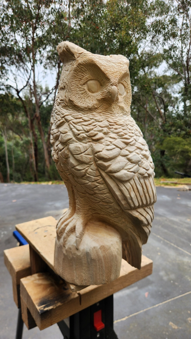 wood carved owl progress.jpg