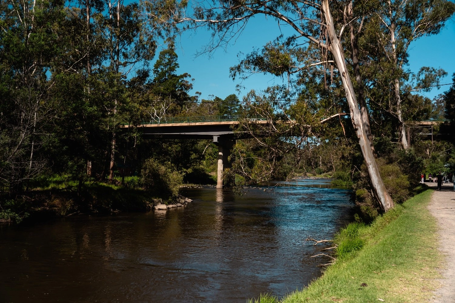 DSC06317.jpg