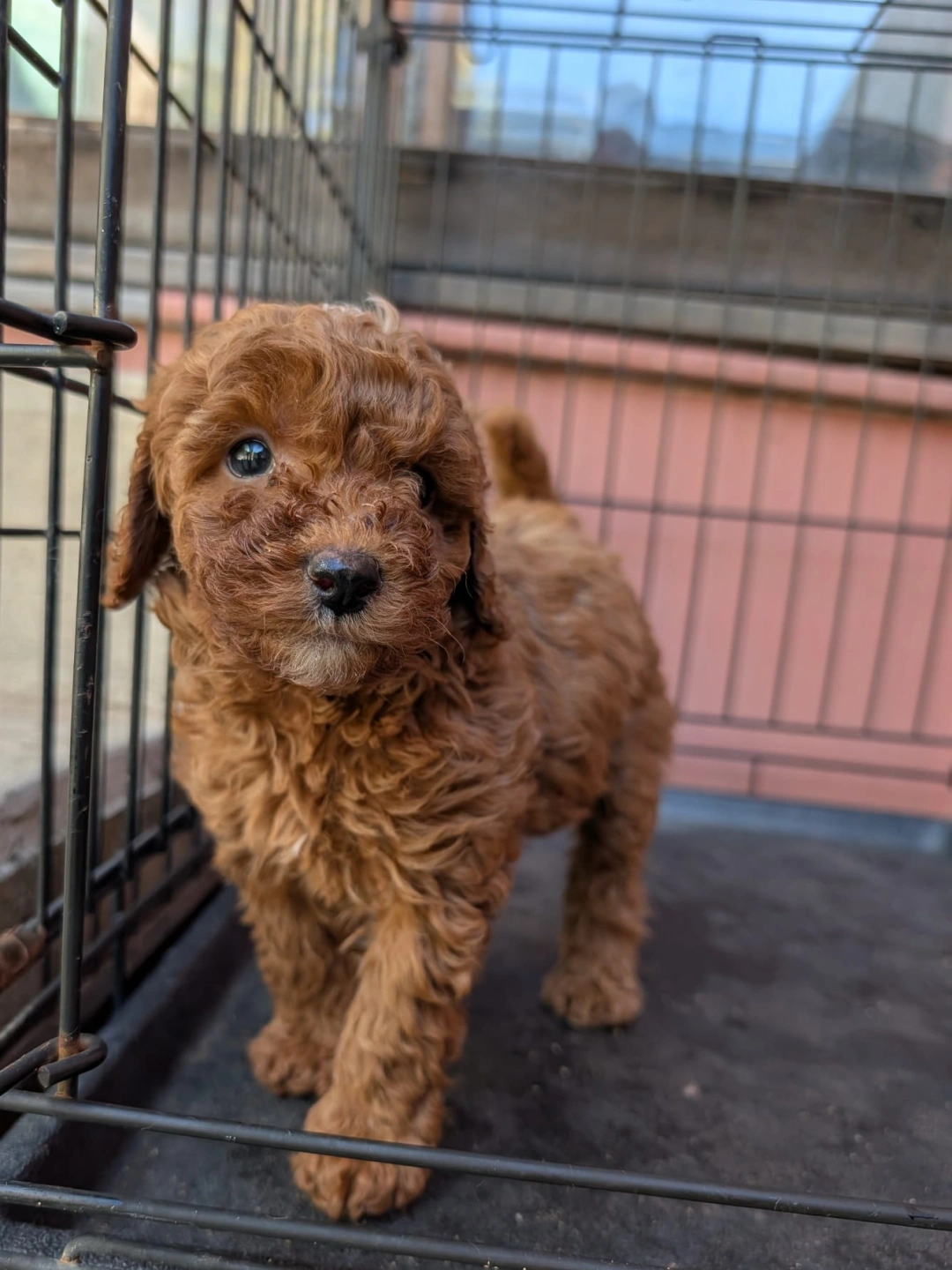 6 eeeks - 2026-03-31 at 5.09.36 PM 2.jpeg