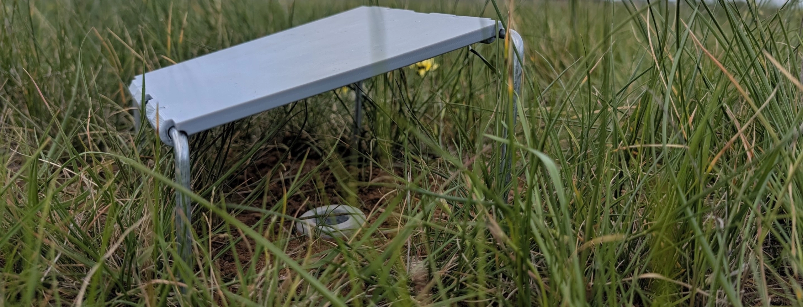 widegrasslandkit23.jpg