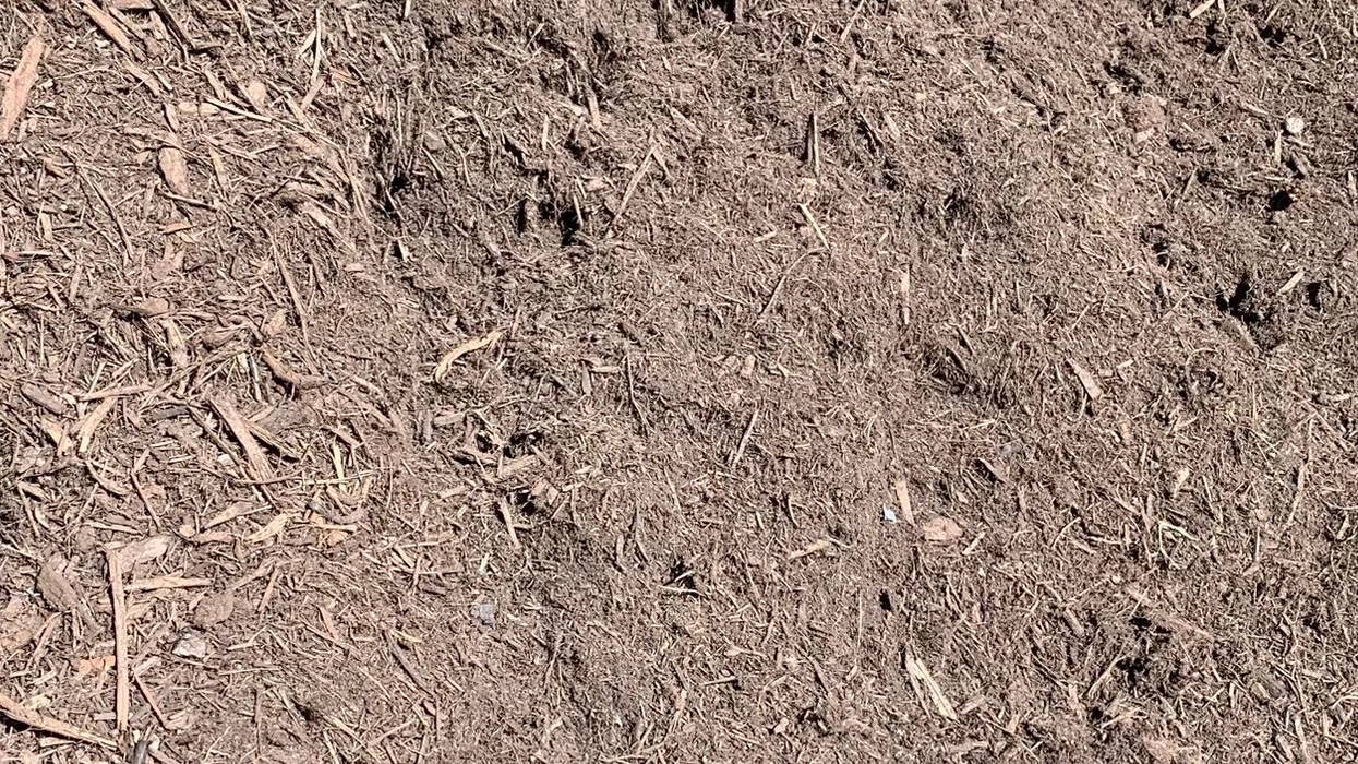eucy-mulch.jpg