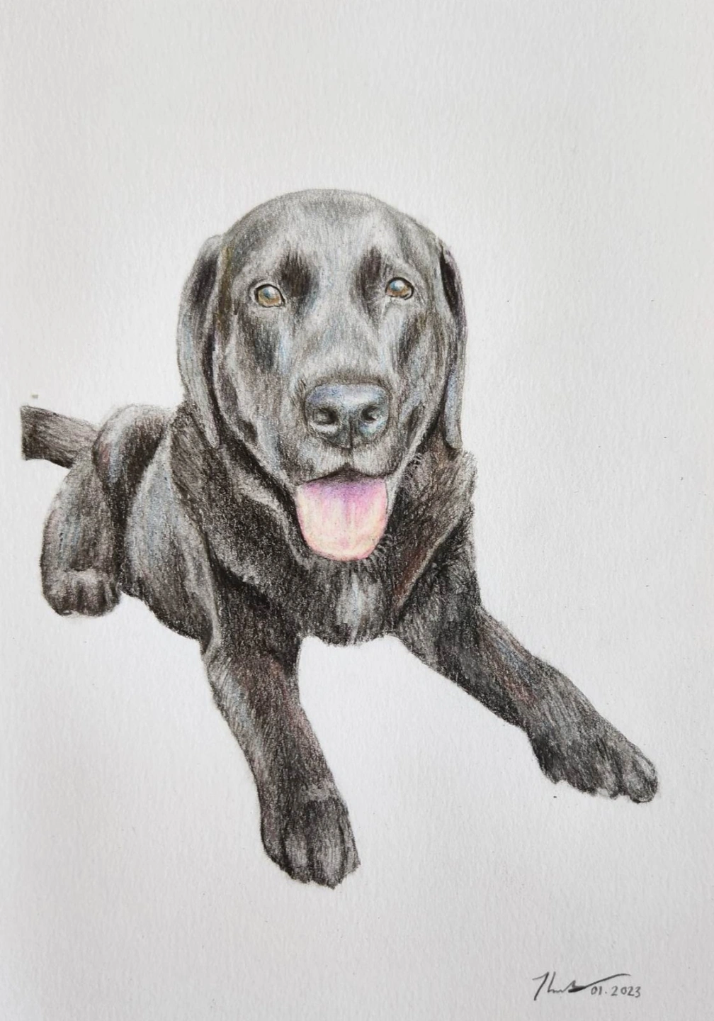 Coloured Drawing (2).jpg