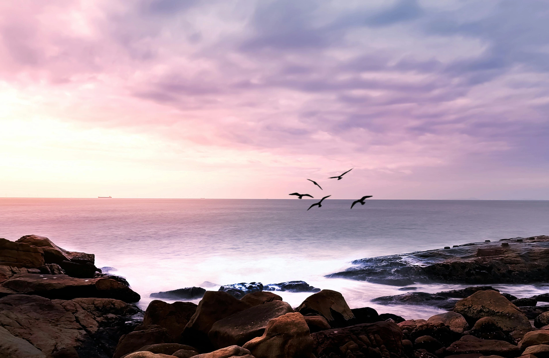pexels-birds-sunrise sea.jpg