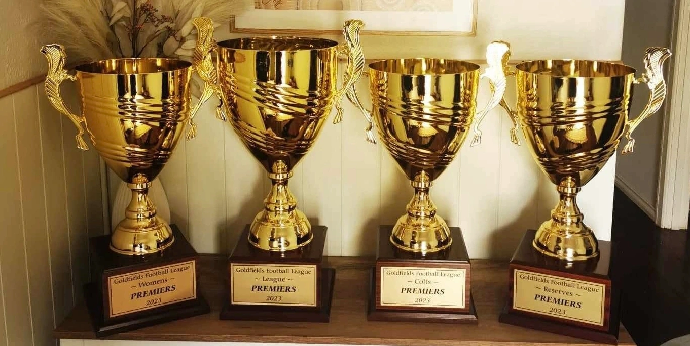 trophies at home.png