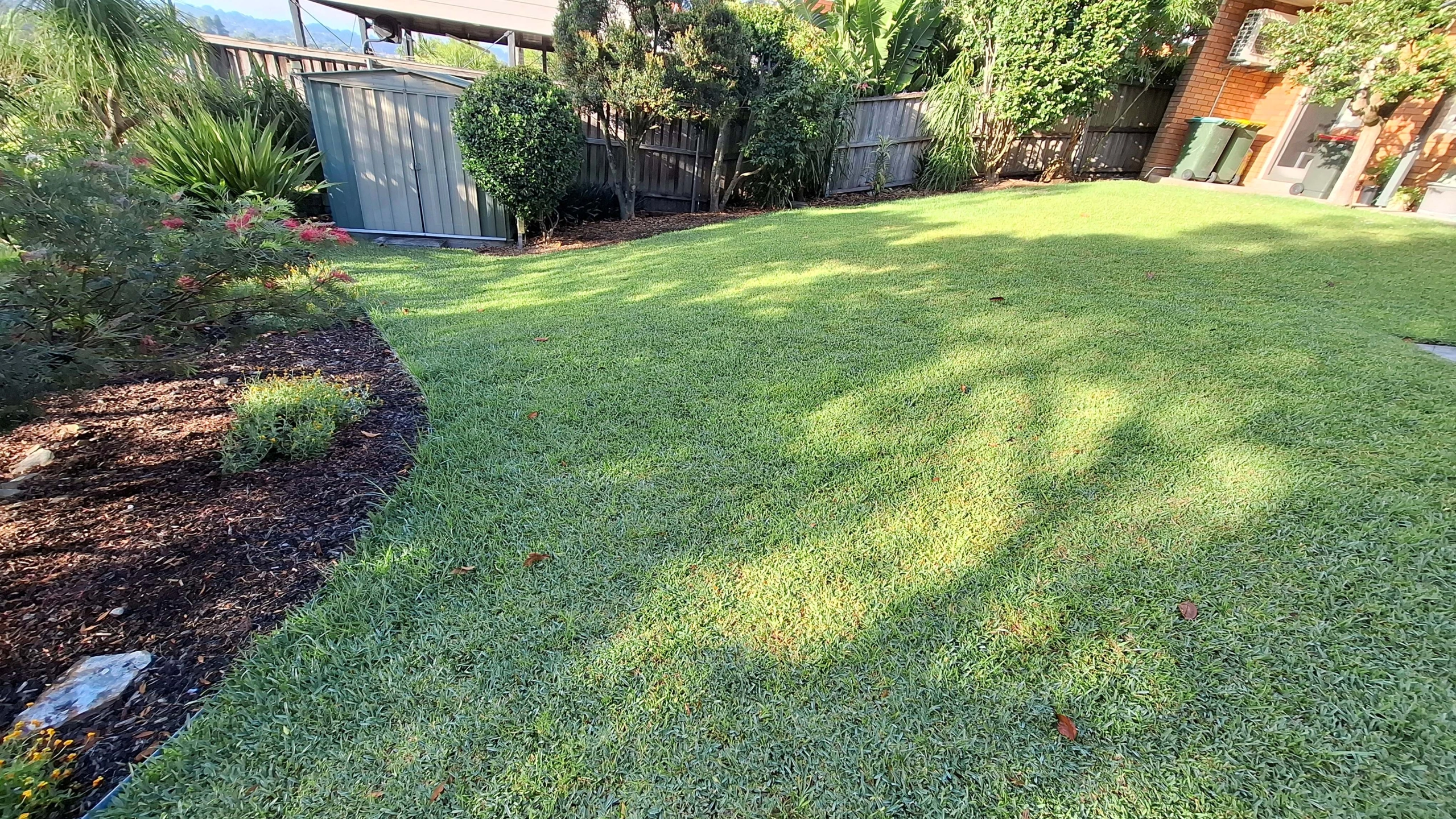 Client B Back Yard Before.jpg