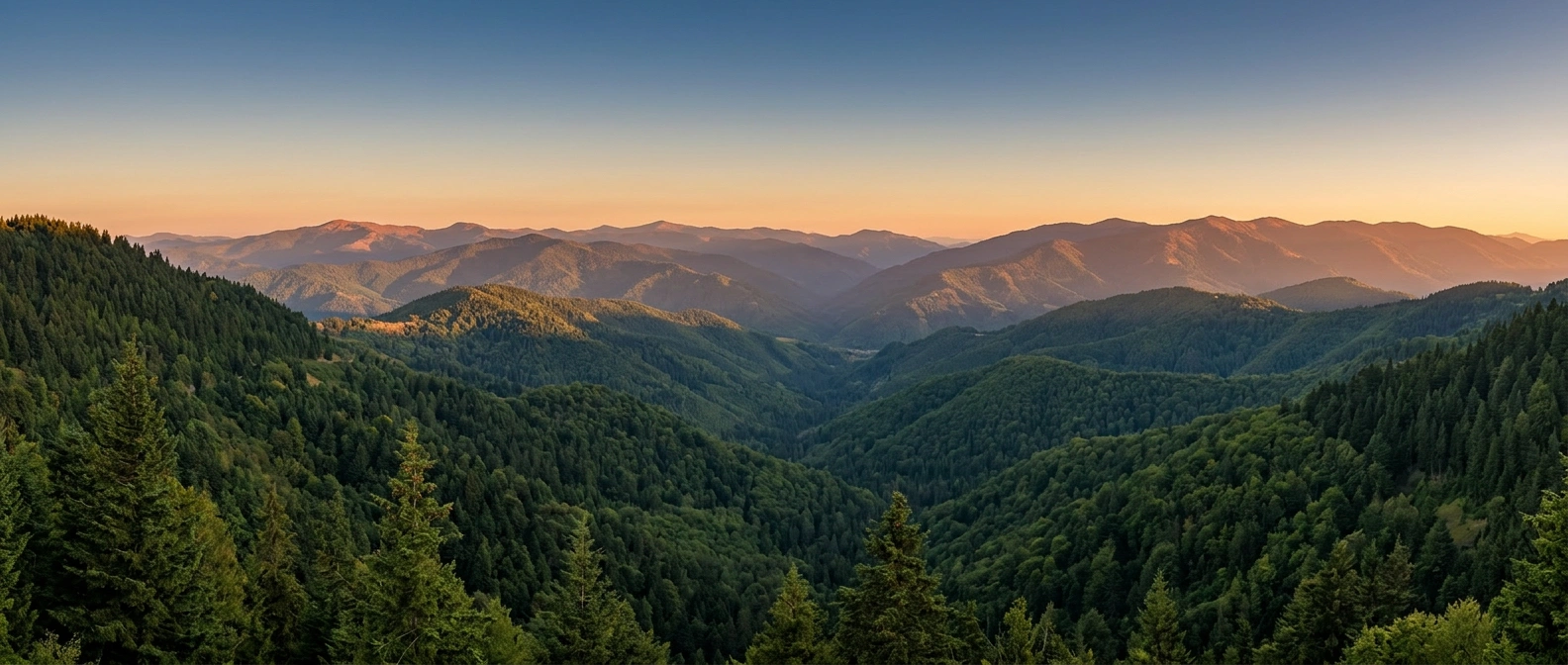 Firefly_Gemini Flash_MAKE ME A LANDSCAPE WEBSITE INTRO BANNER FROM THIS MOUNTAINOUS IMAGE ON THE REFERENCE 8290.png
