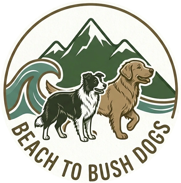 Beach to Bush Dogs