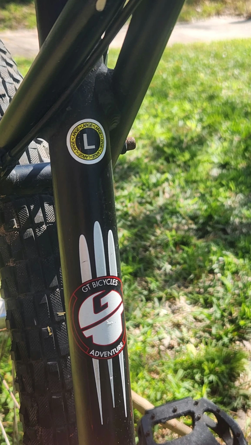 Bike revived1.jpeg
