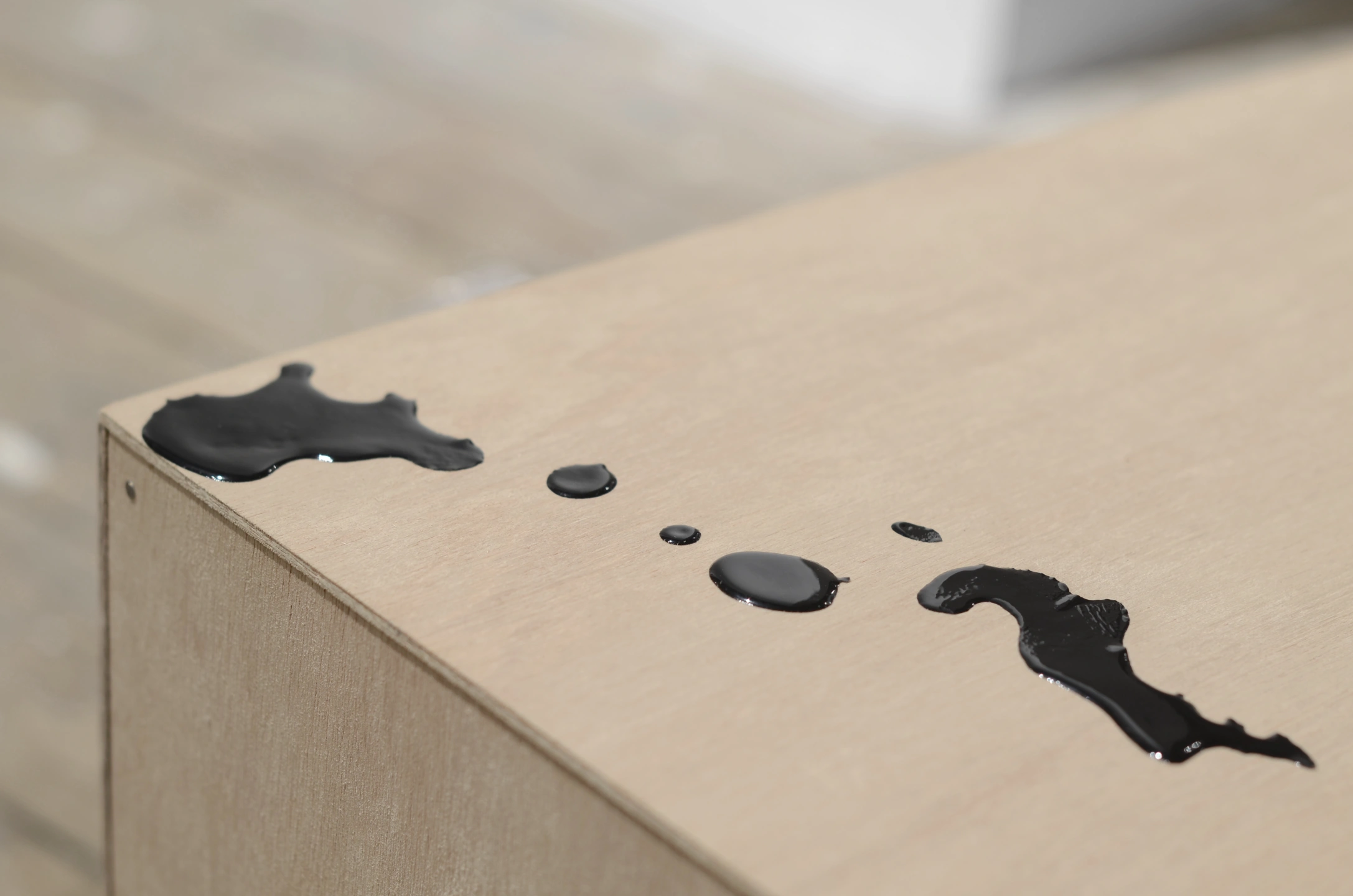 Seeing Things 04-.JPG