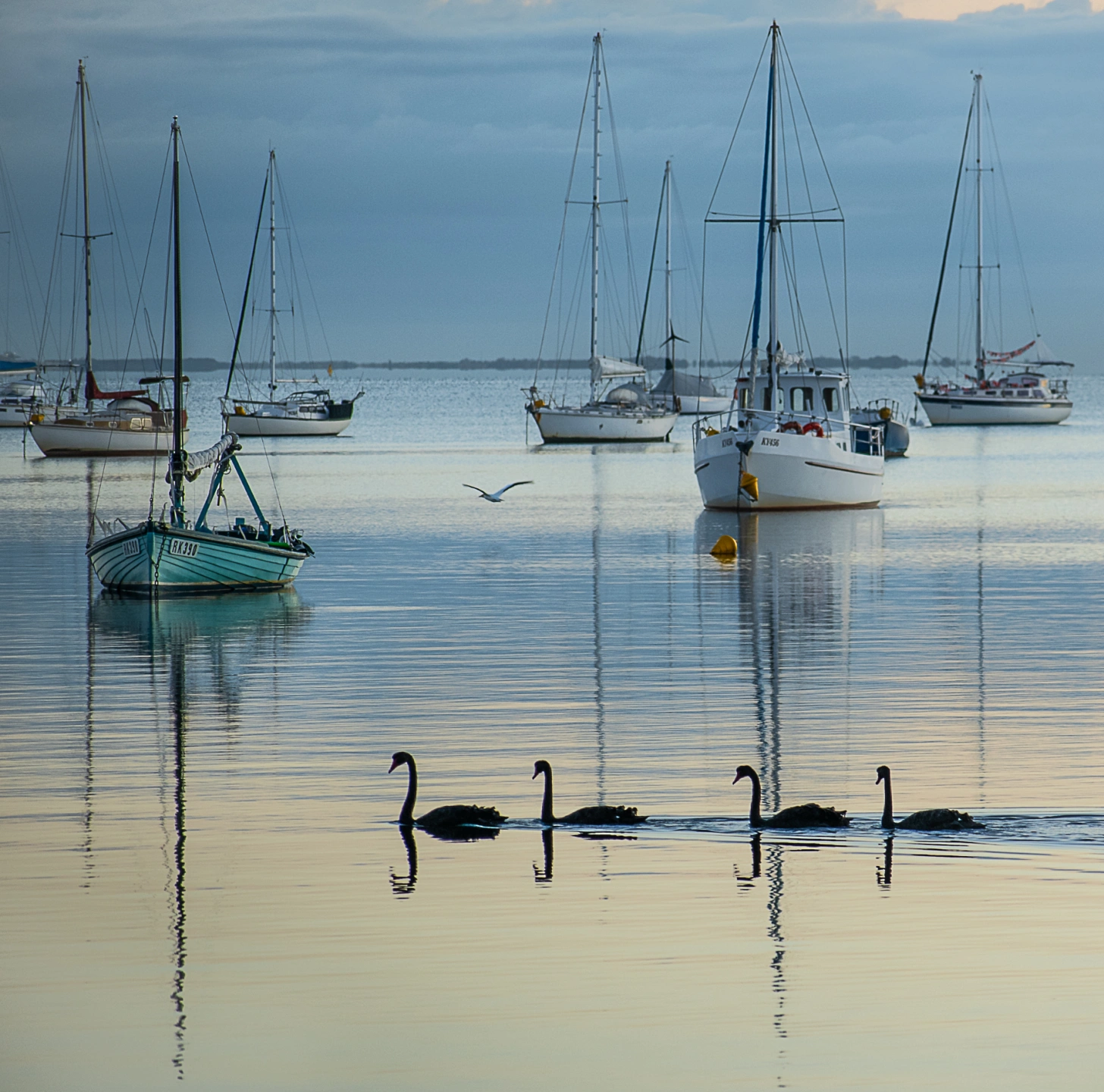 November 28 Sunrise-9.jpg