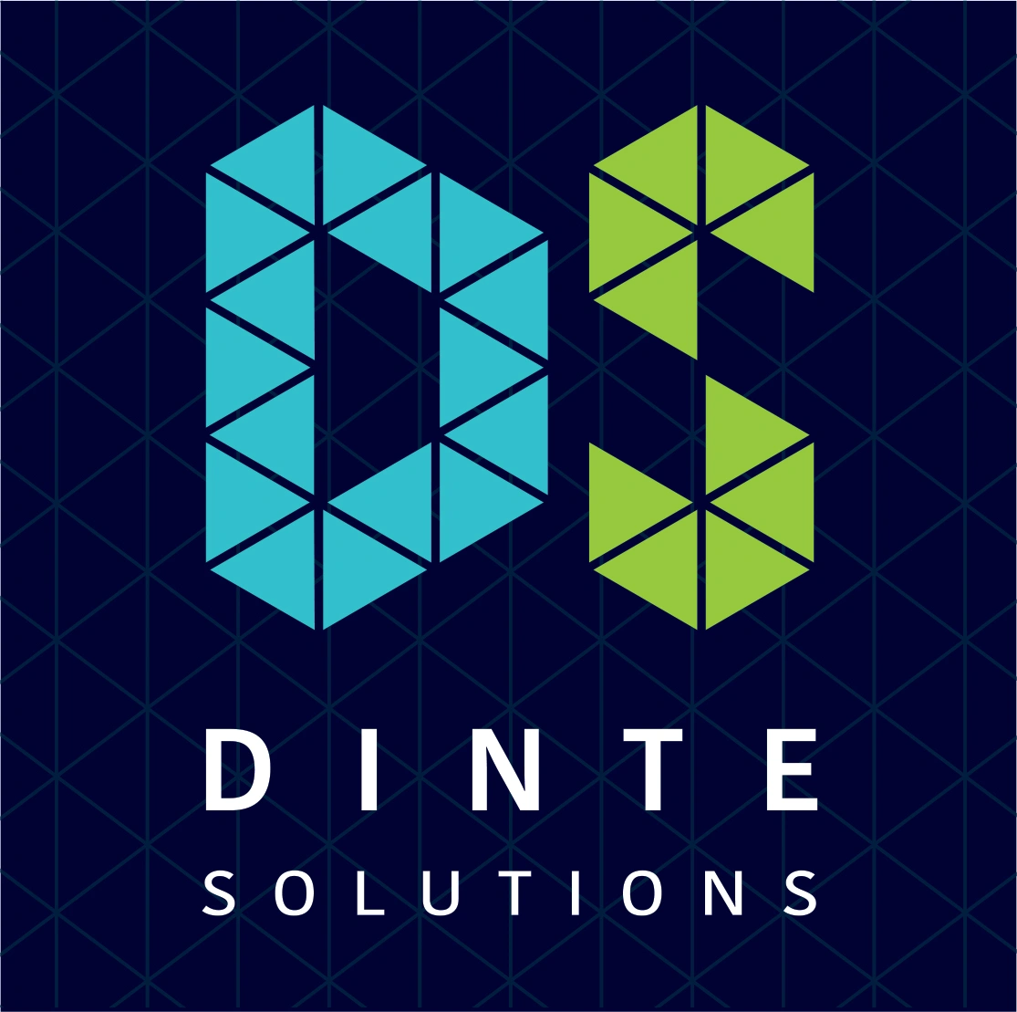 Dinte Solutions – Information Technology Specialists