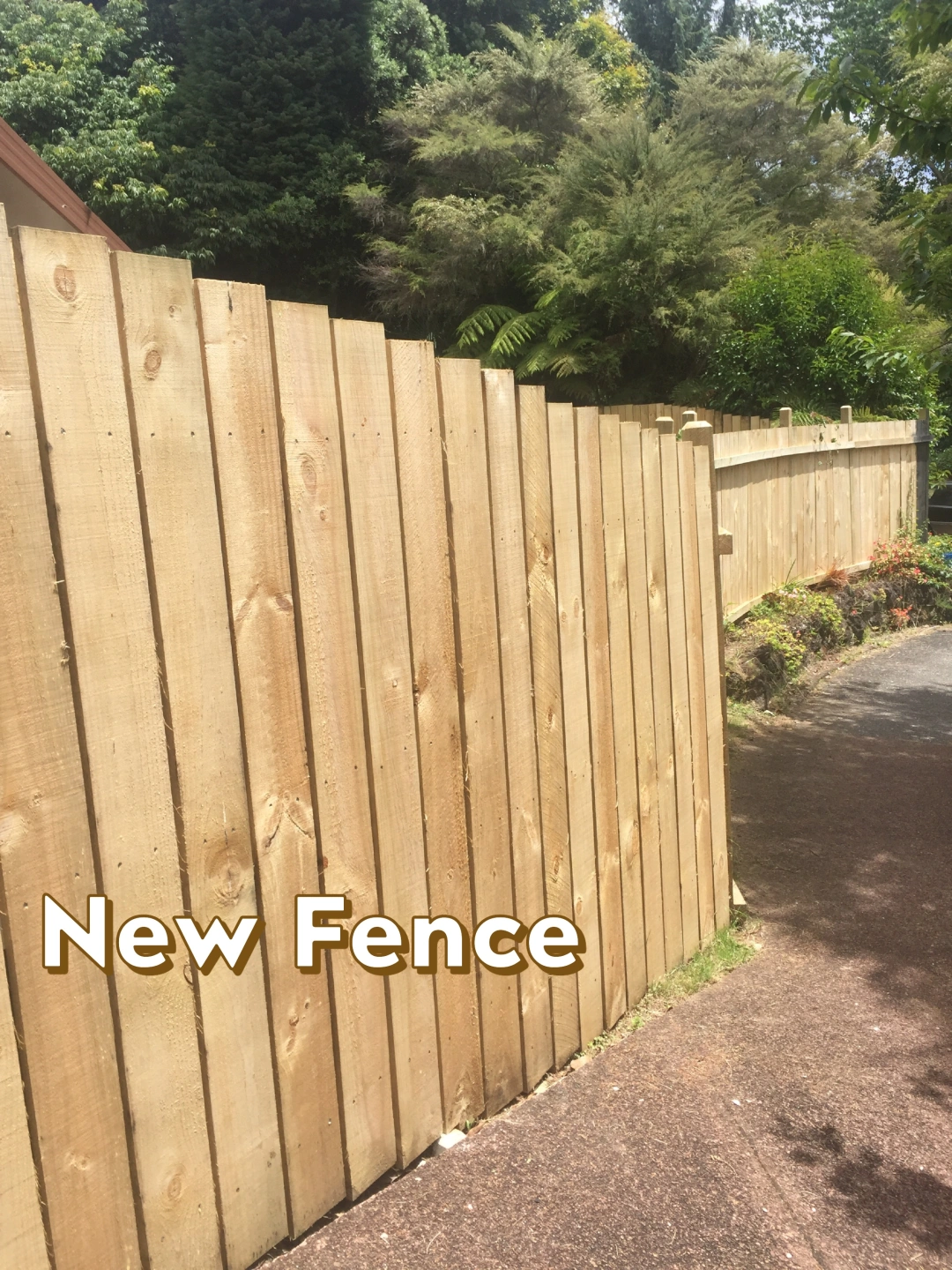 New Fence - 87B.JPG