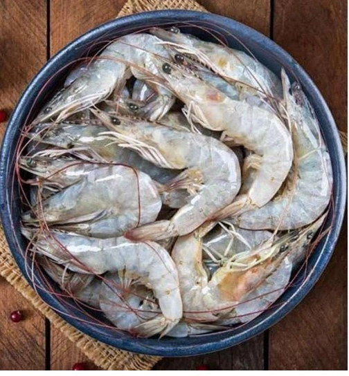 prawn.jpg