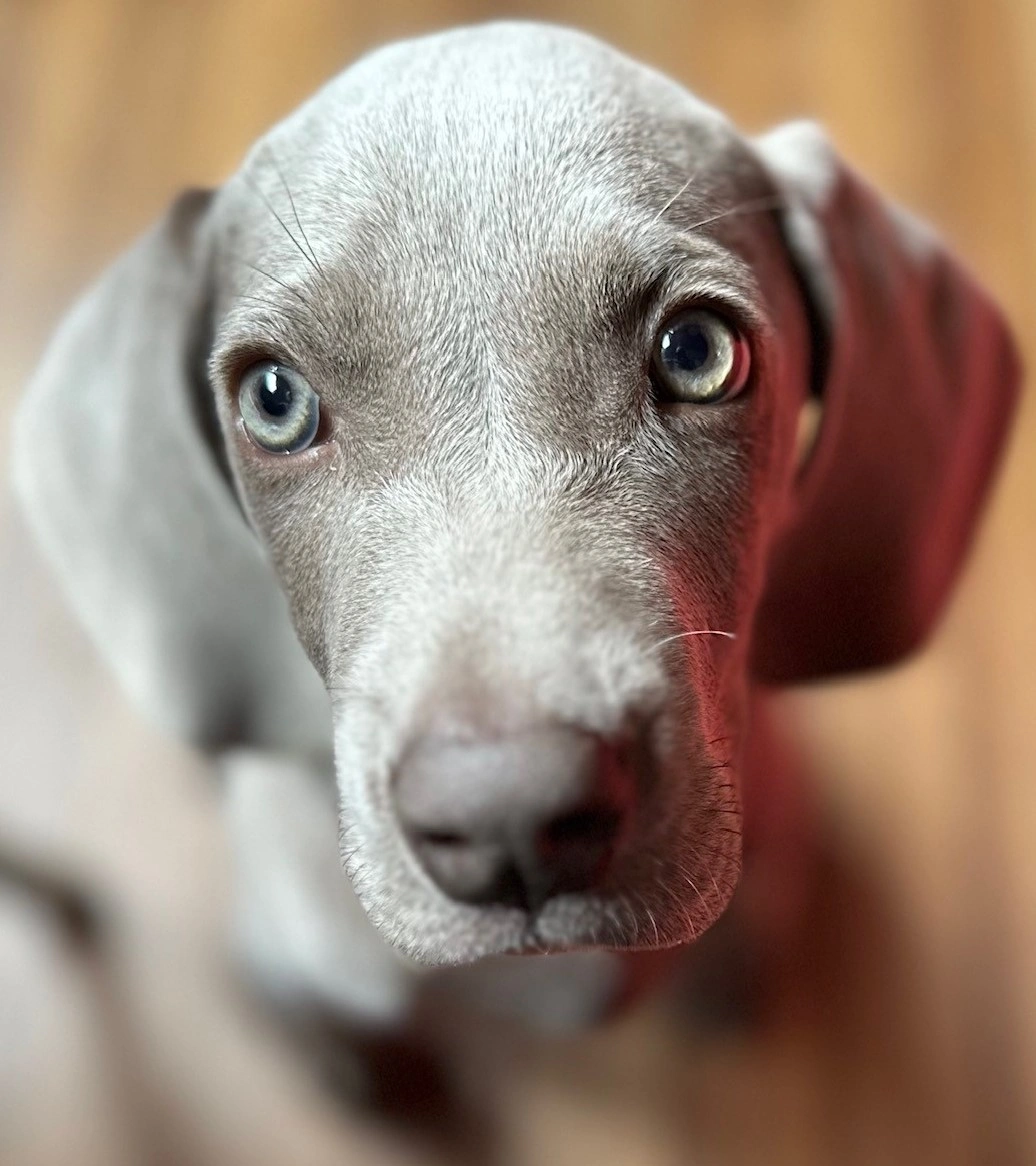 Coco02.jpg