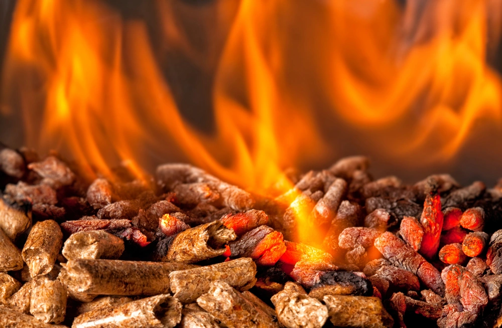 wood pellets fire.jpg