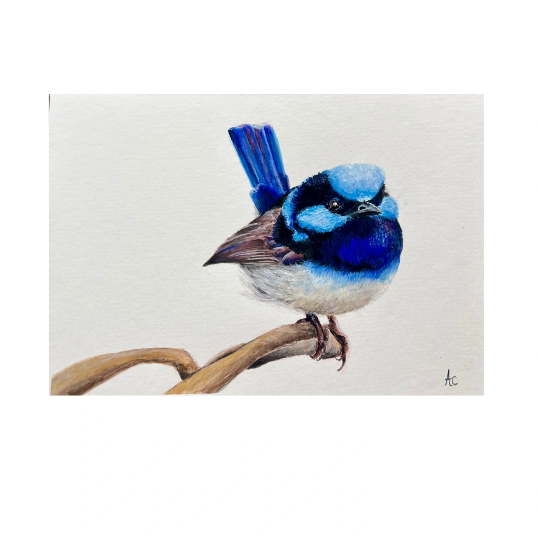 Greeting Cards and Design