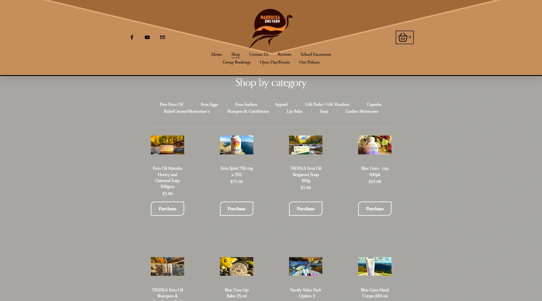 Screenshot 2025-06-06 130120.png