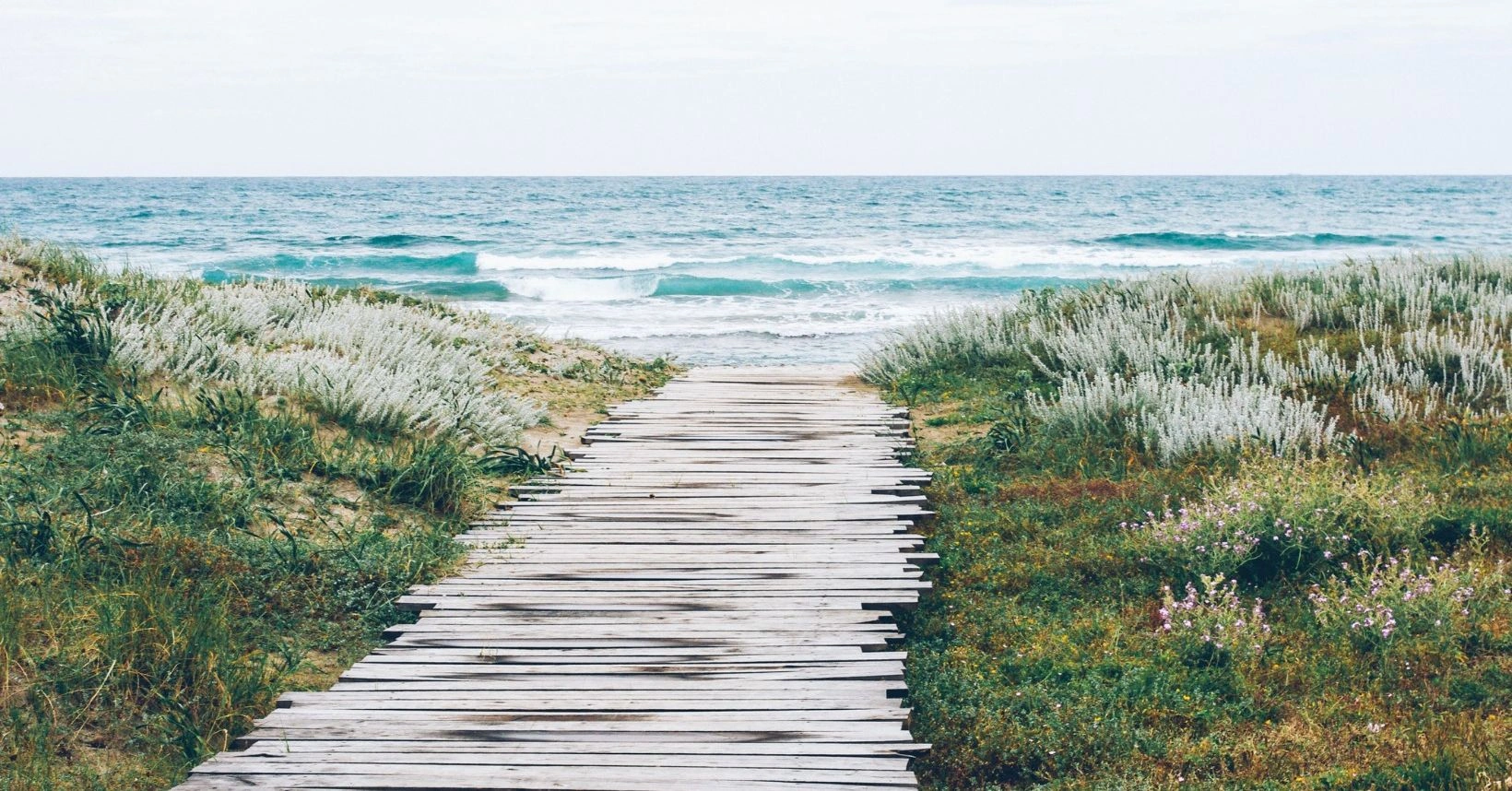 website landing page.jpg