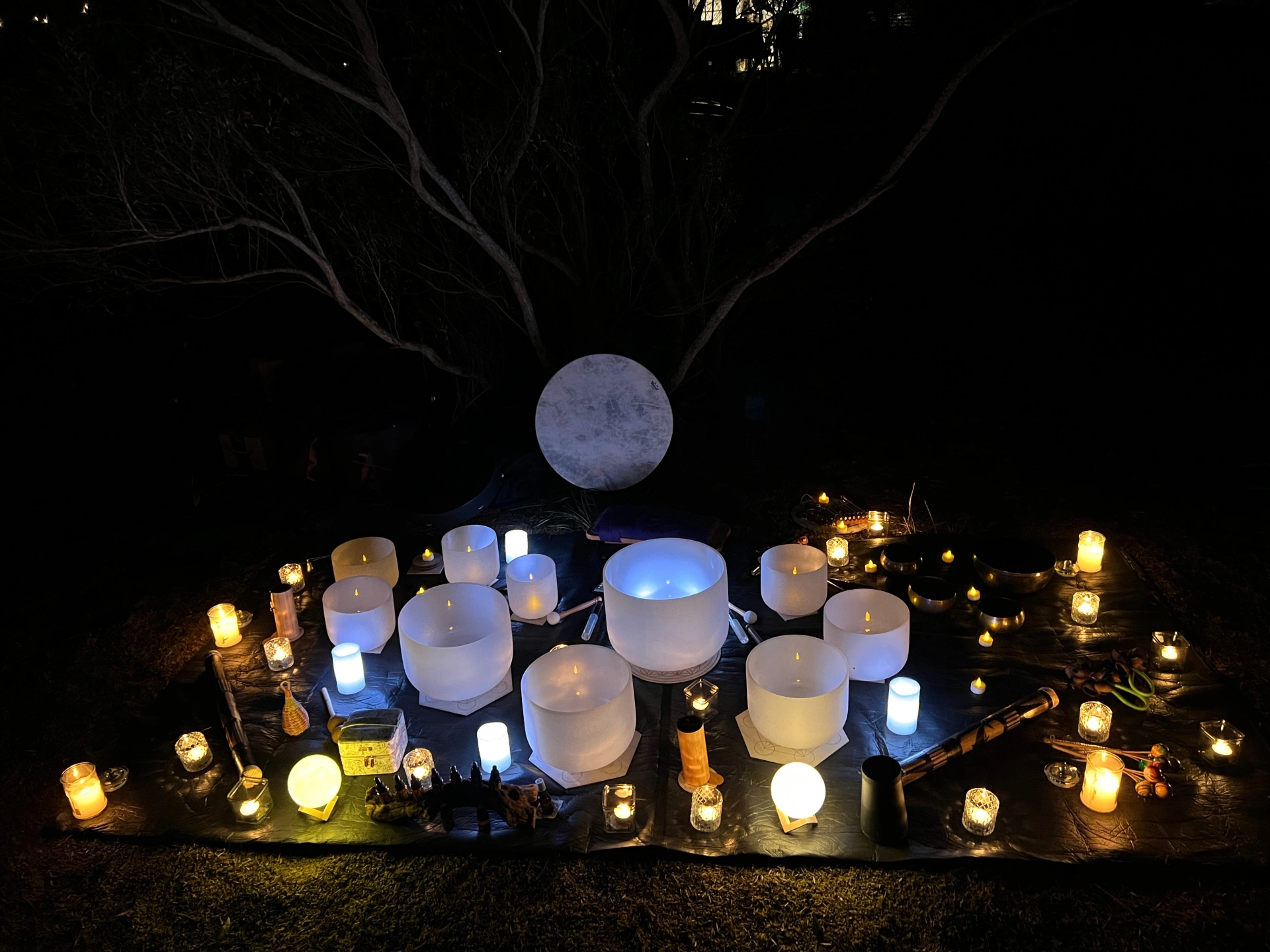 Island Alive setup.jpg