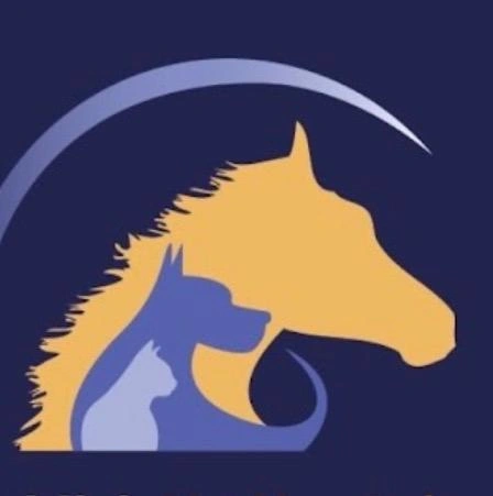 bvh-logo.png