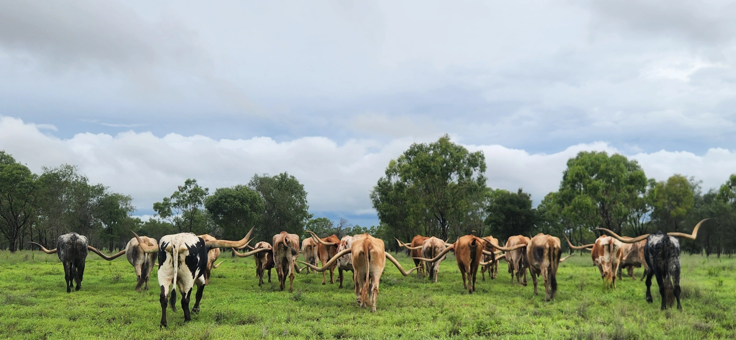 20260115_171955 (1).jpg