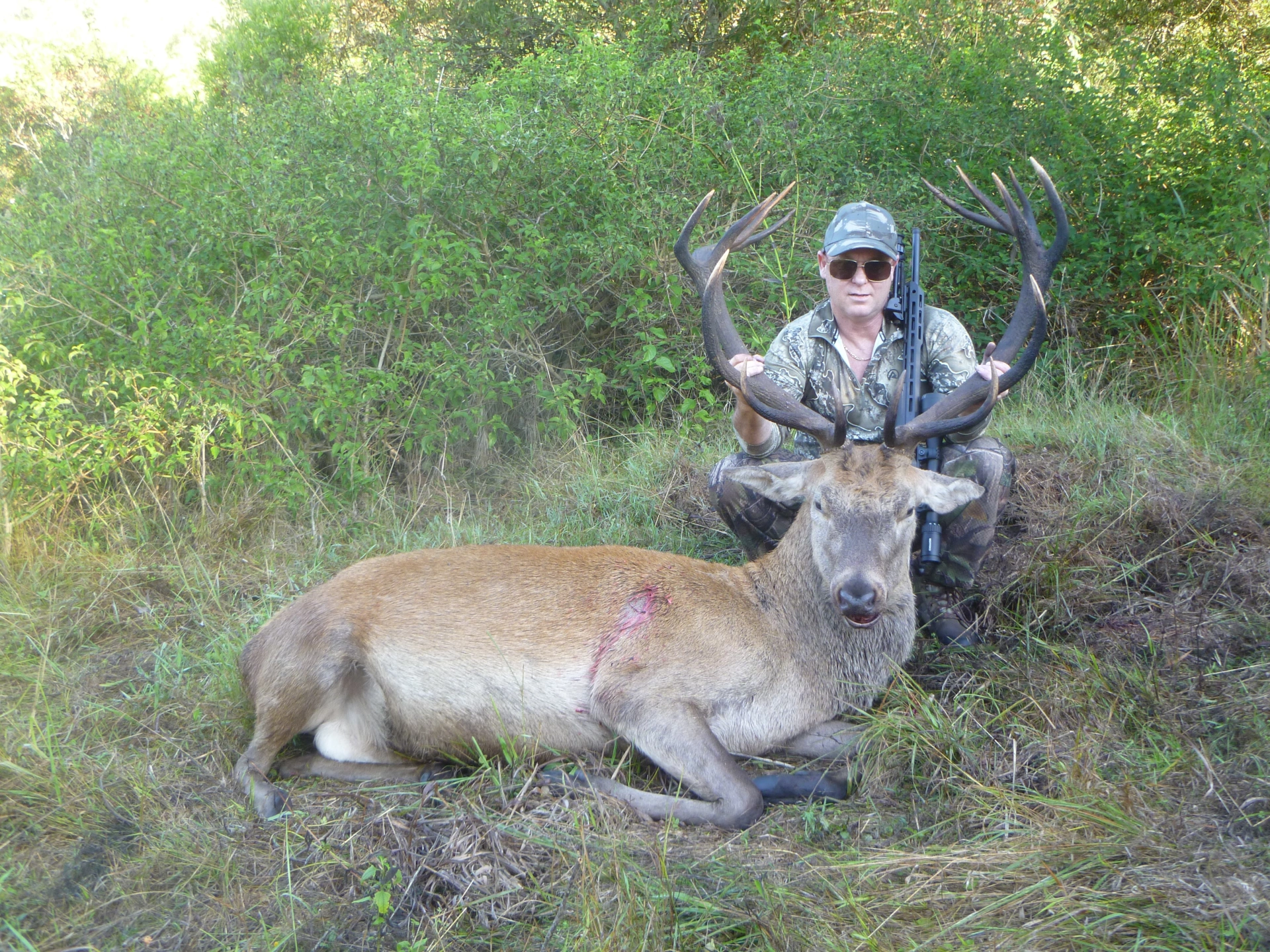 Red Deer Hunt 2.jpeg