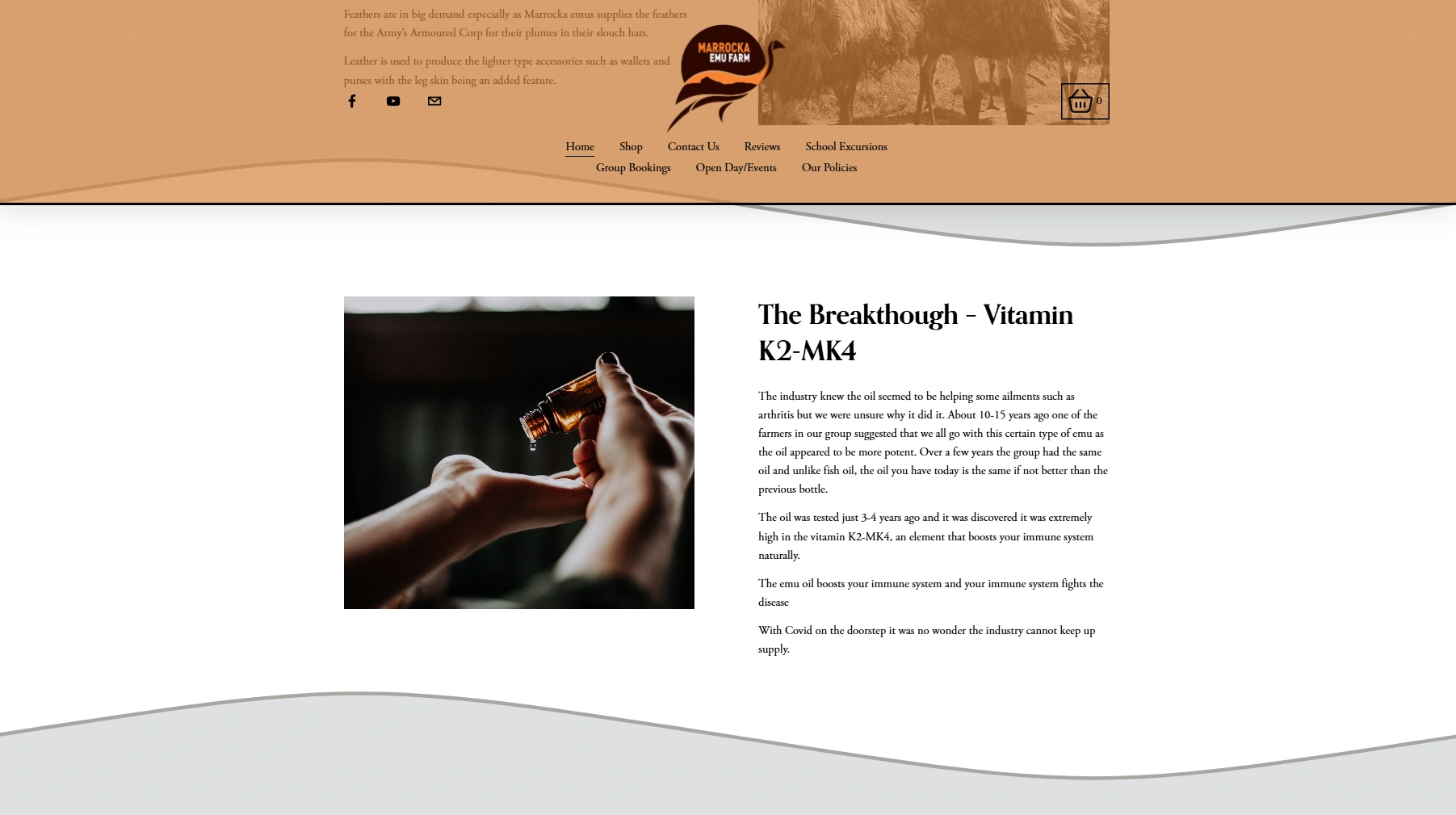 Screenshot 2025-06-06 130423.png