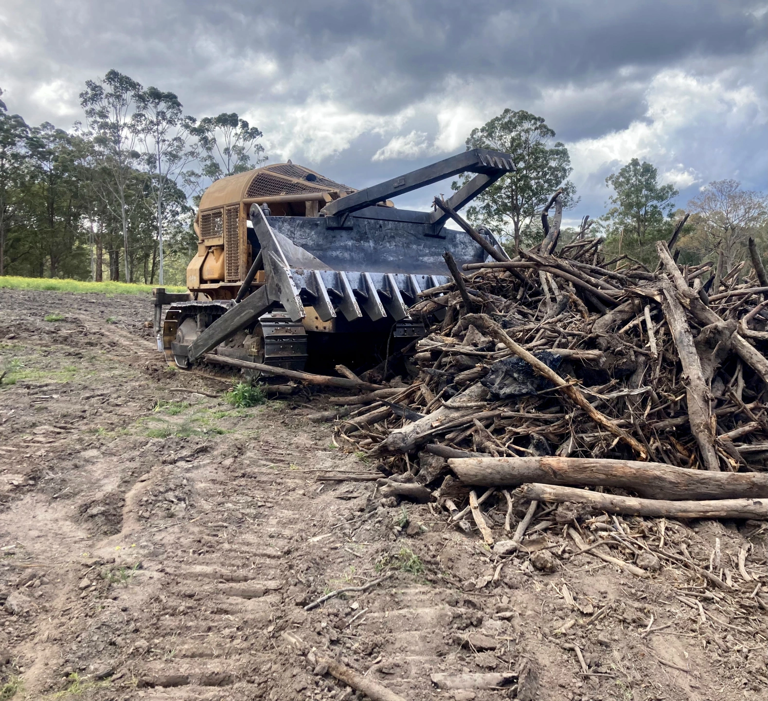 Bowraville Bulldozing_R_23.jpg