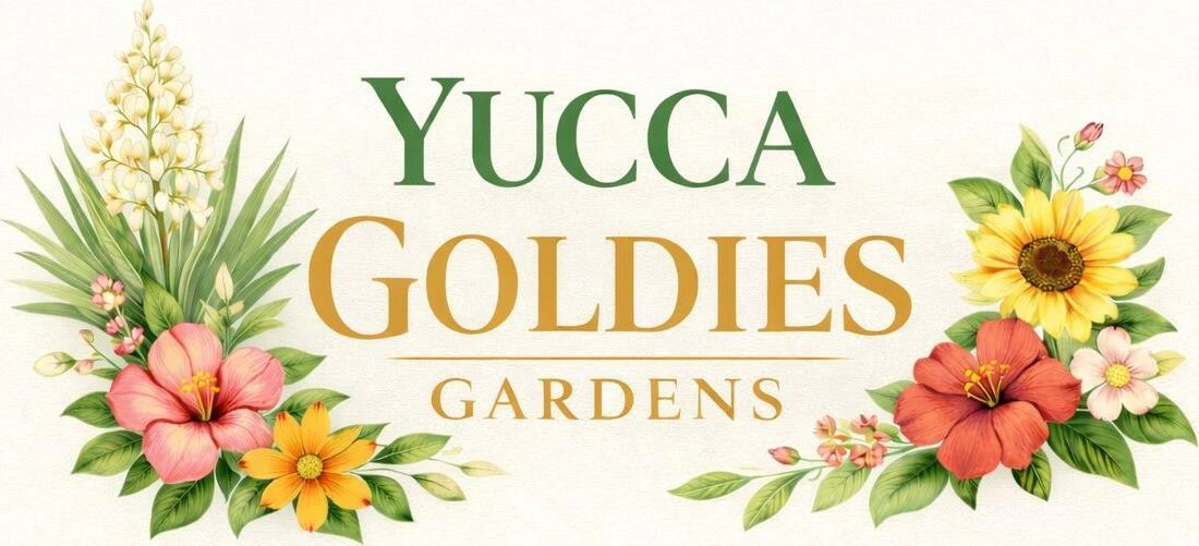 Yucca Goldies Gardens