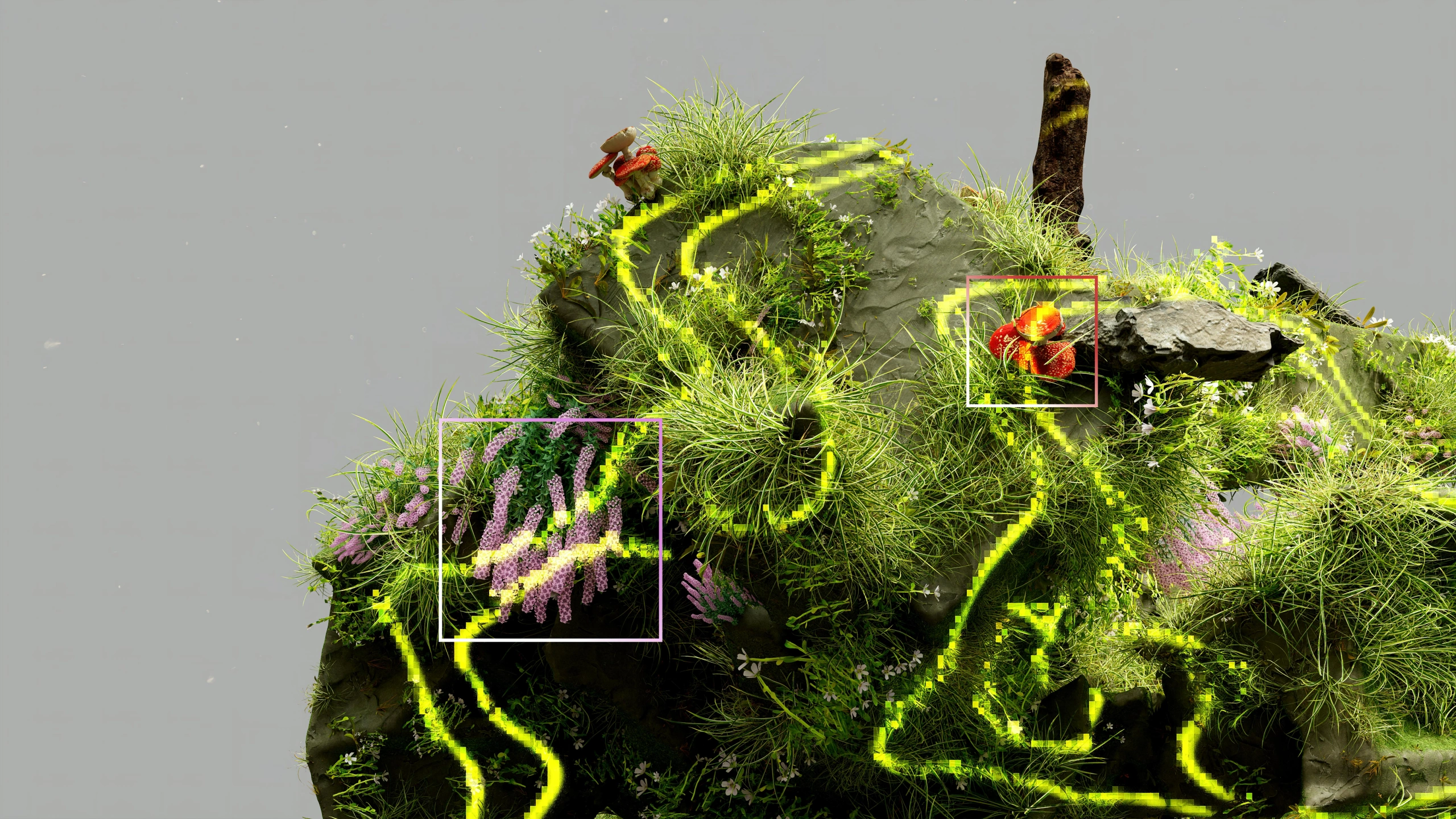 pexels-googledeepmind-precisiontech_Nature.jpg