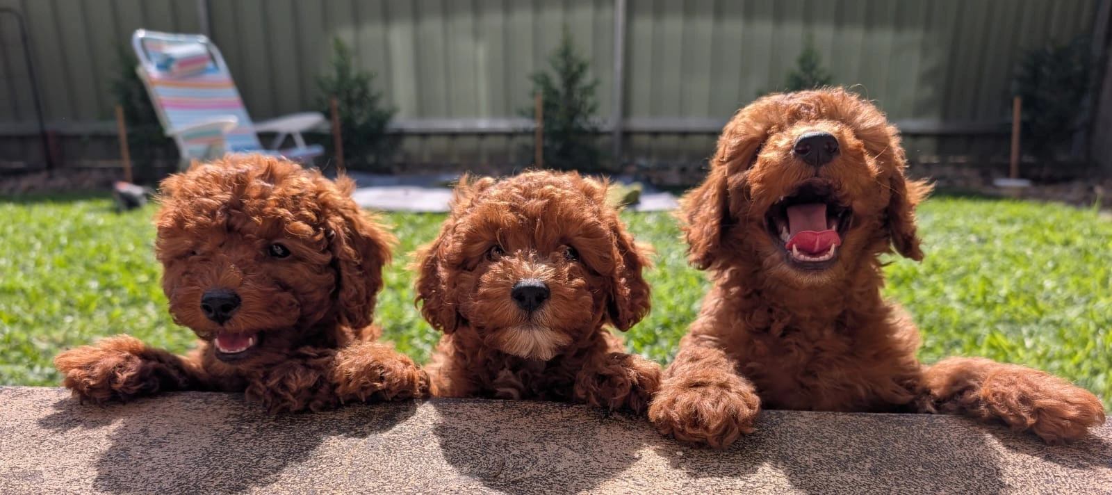 Banner 2026-04-22 at 1.18.29 PM.jpeg