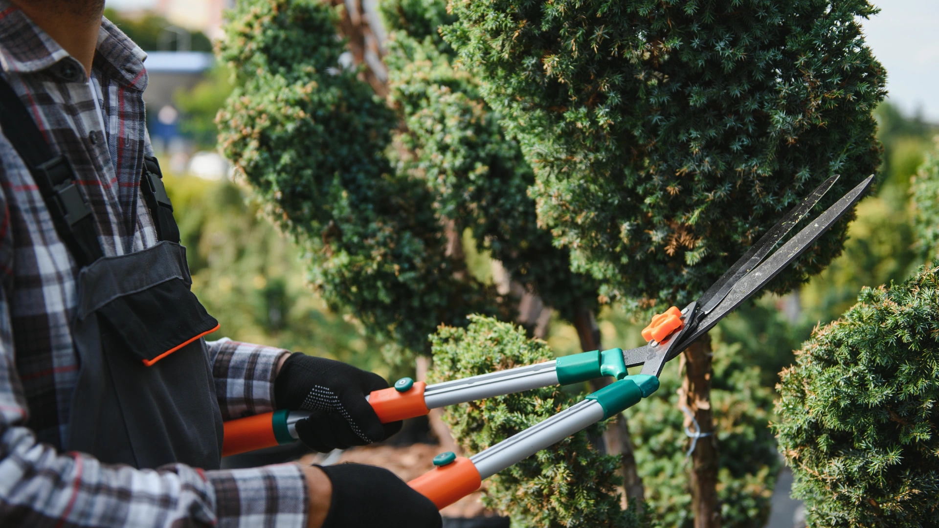 Untitled design (44).png