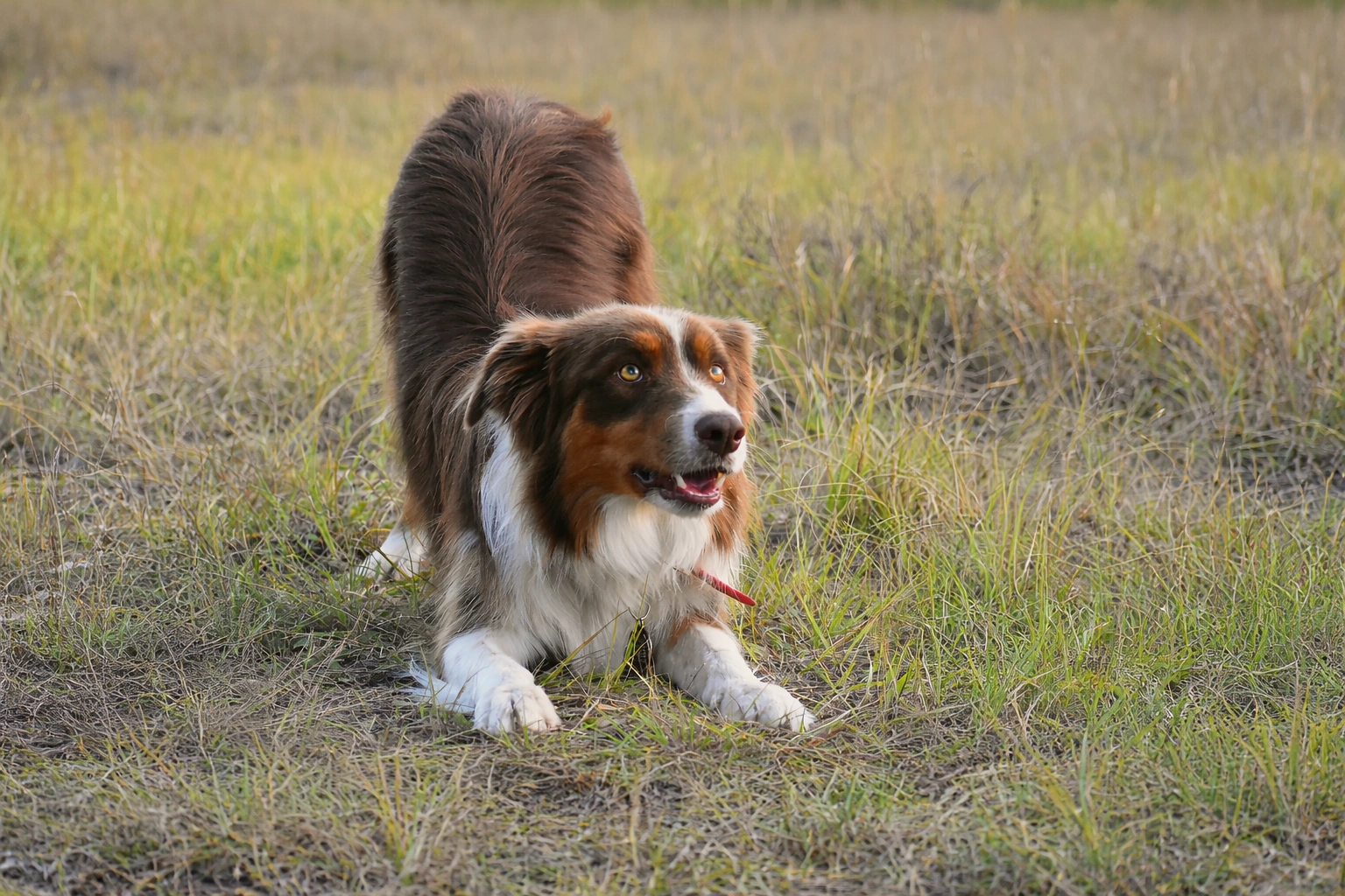 ChatGPT Image Mar 14, 2026, 10_19_27 PM.png