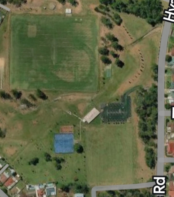 Field.webp