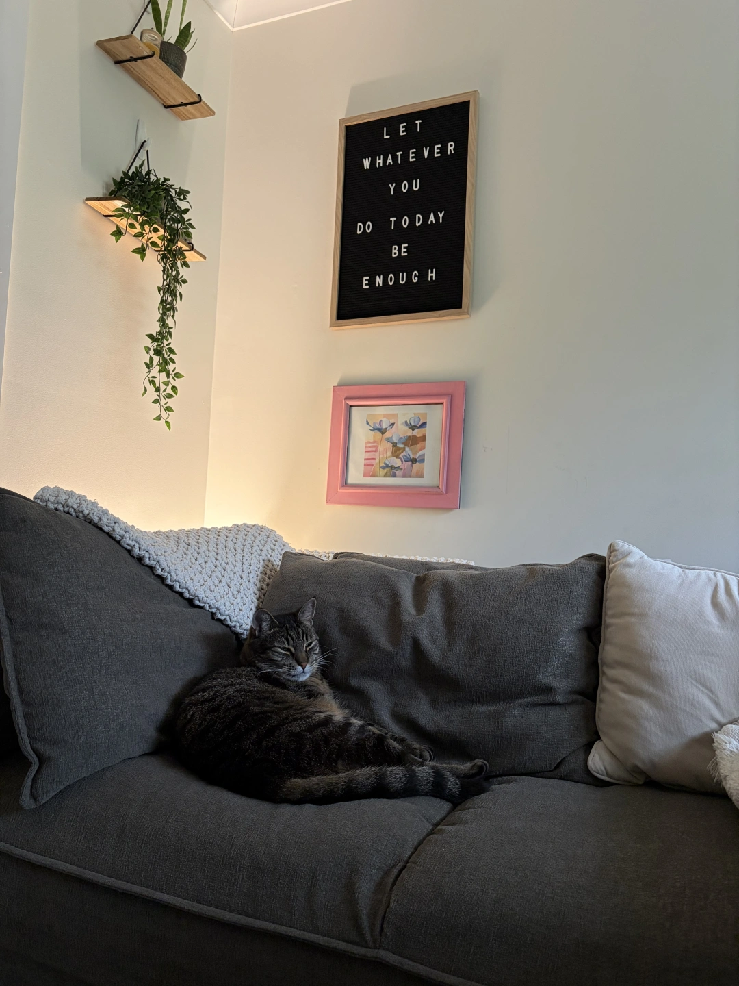 Brisbane Psychologists - Ollie.jpeg