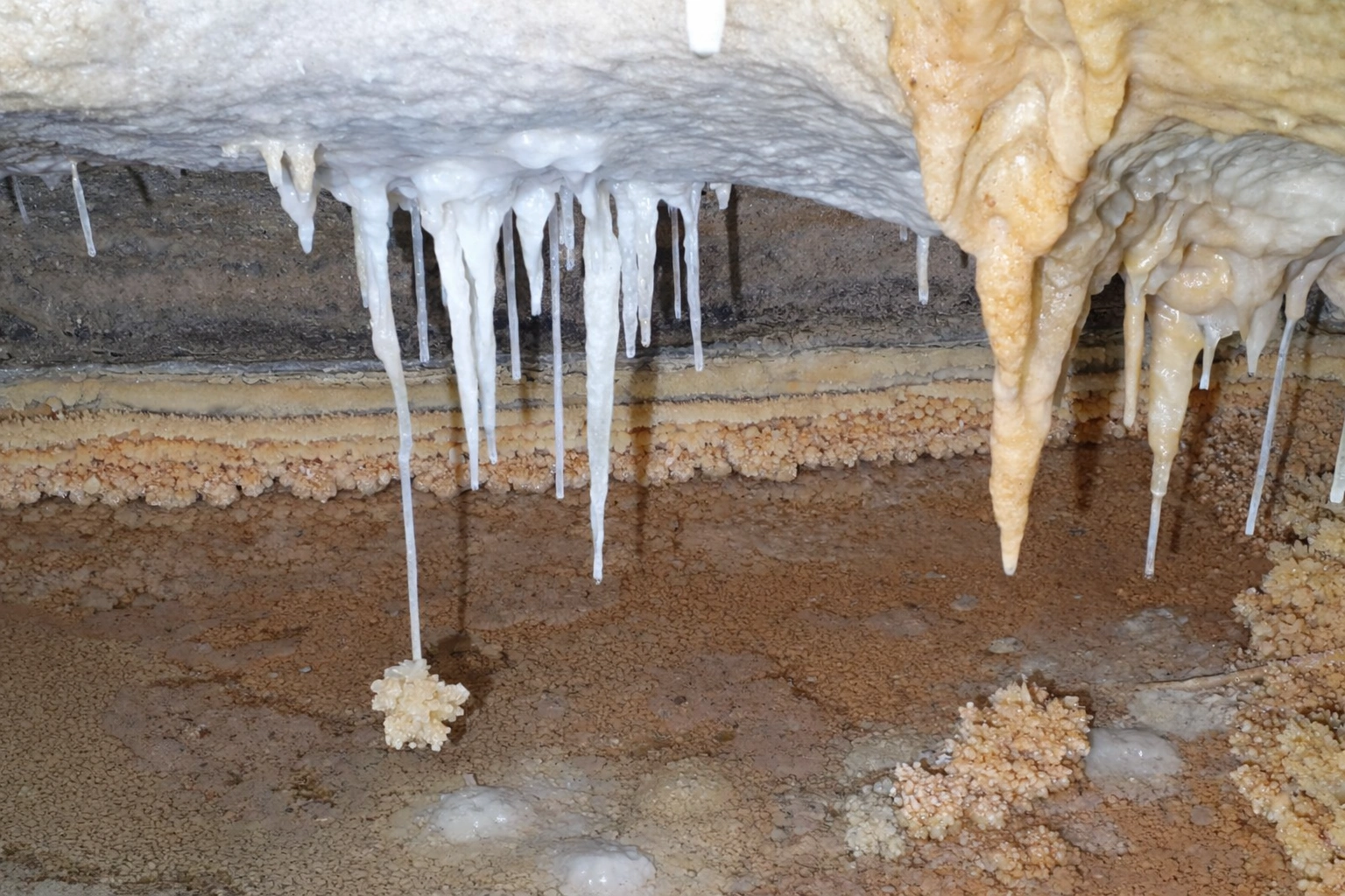 ChatGPT Image Feb 20, 2026, 05_52_09 PM.png