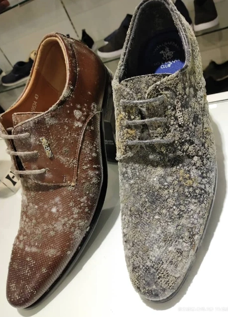 mouldonshoes.jpg